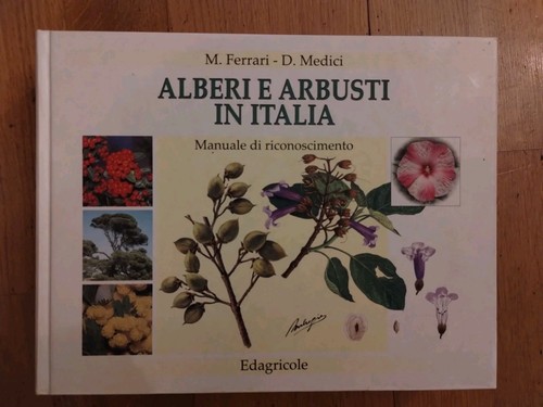 Ferrari medici alberi - ferrari,, e